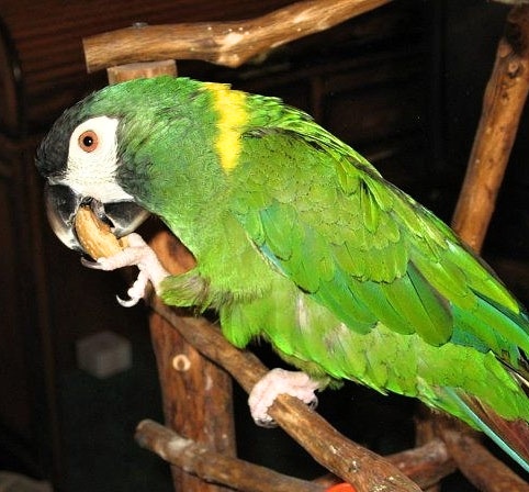 Foto 2